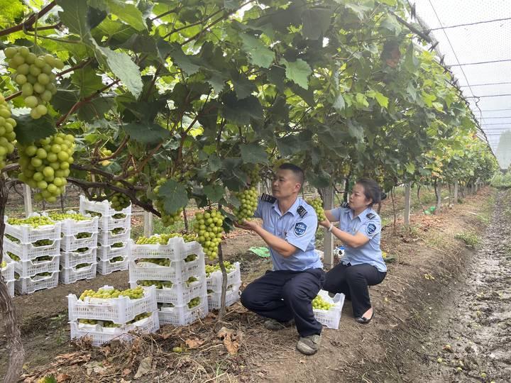 善琏镇加强交通建设，提升居民出行体验，最新交通动态报道