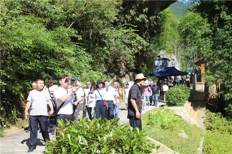 巴山村委会最新动态报道