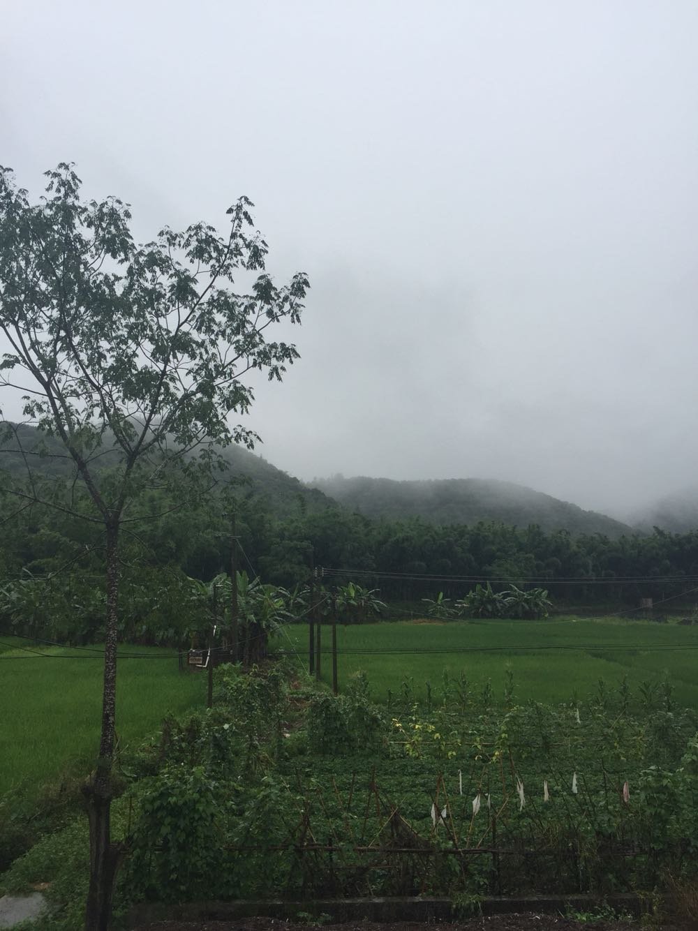 达麦村今日天气预报