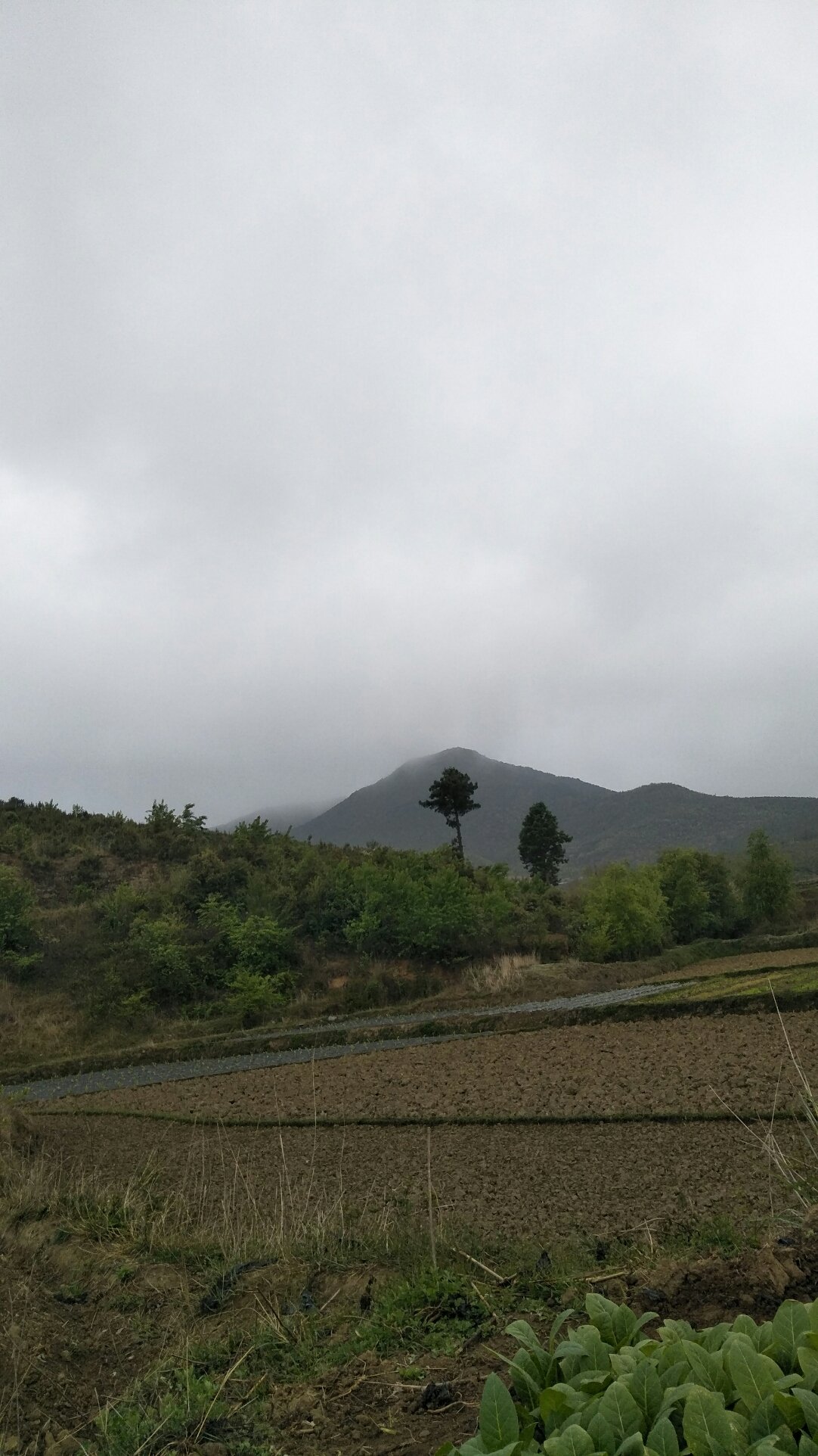 土门子镇天气预报更新通知