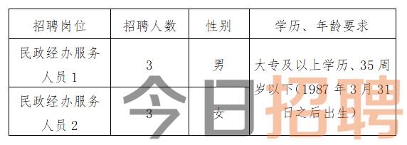 保定市物价局最新招聘信息全面解析